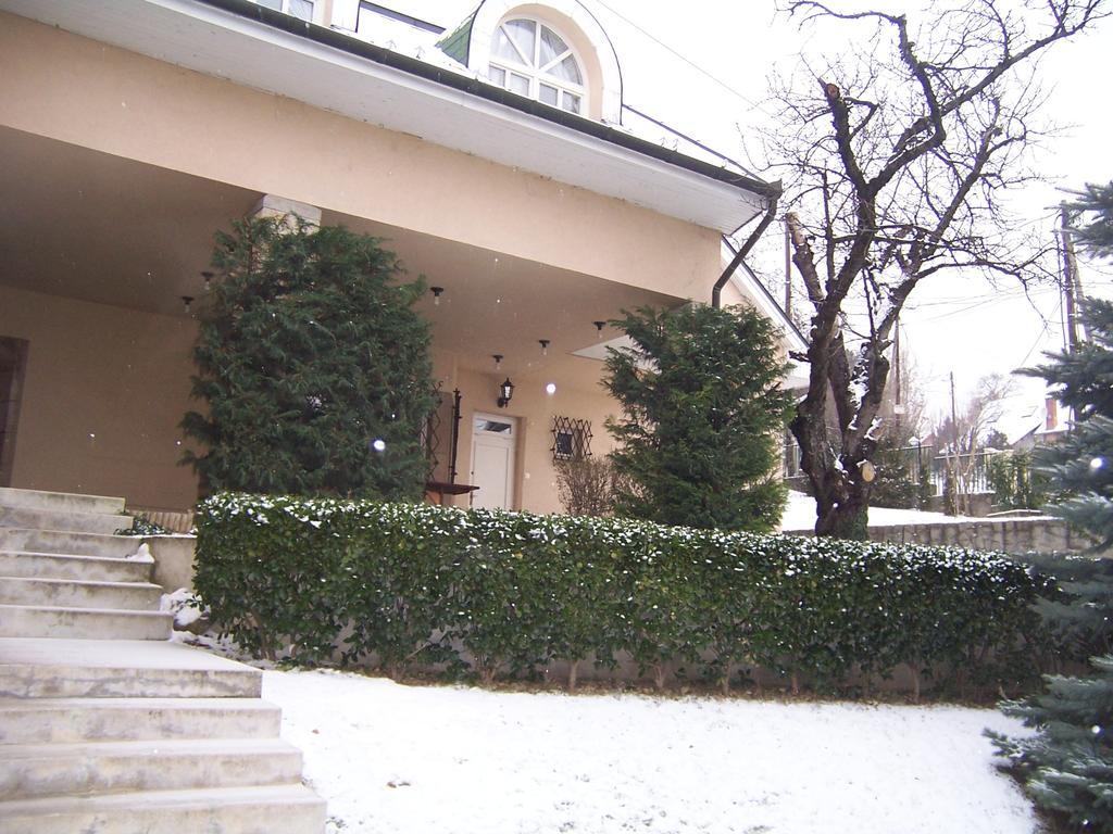 Villa Szekely Leanyfalu Luaran gambar